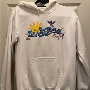 Disney Splash Mountain Hoodie
